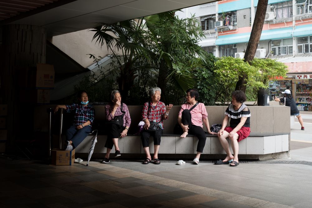 A group of elderly women sitting and talking on a city bench surrounded by greenery.